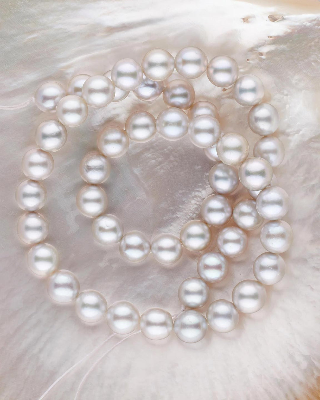 Red Sea Cultured Pearls: yes, they do exist