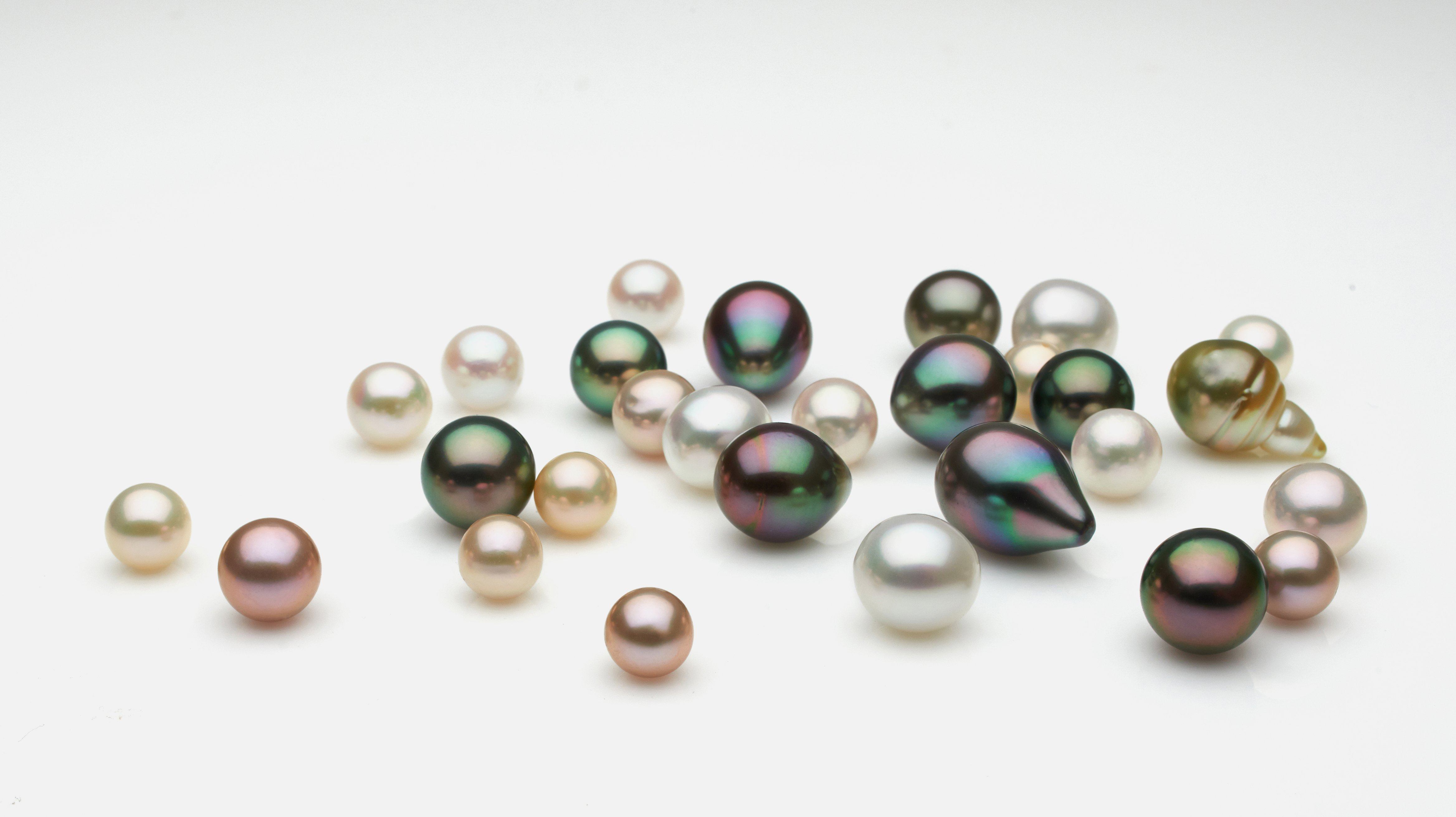 Loose Pearls Tahitian Akoya South Sea Pearl Paradise loose-pearls-tahitian-akoya-south-sea-pearl-paradise