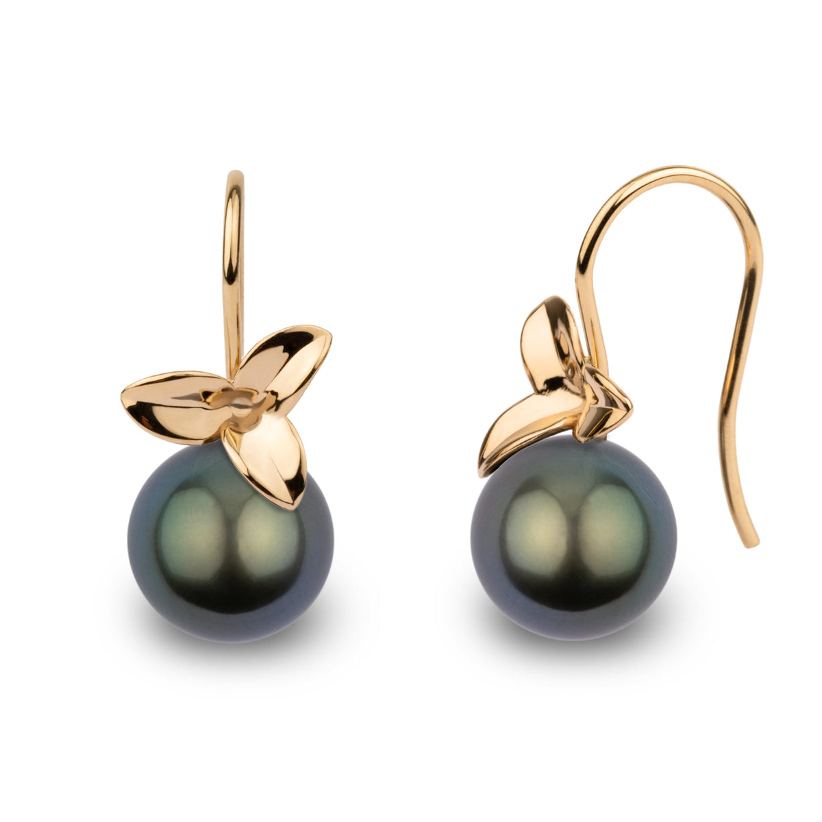 Blossom Collection 10.0-11.0 mm Tahitian Pearl Earrings featuring round dark Tahitian pearls set with polished yellow gold floral accents and elegant hooks for refined style.