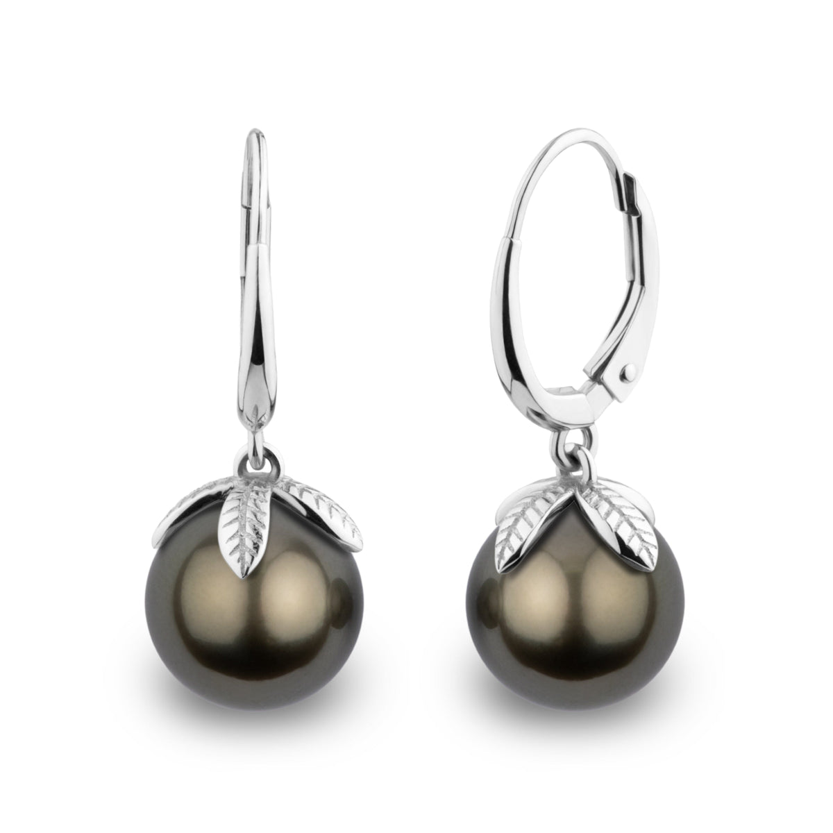 Leaf Collection 9.0-10.0 mm Tahitian Pearl Earrings featuring dark round pearls accented with delicate 14K white gold leaf-shaped caps and polished lever-back clasps.