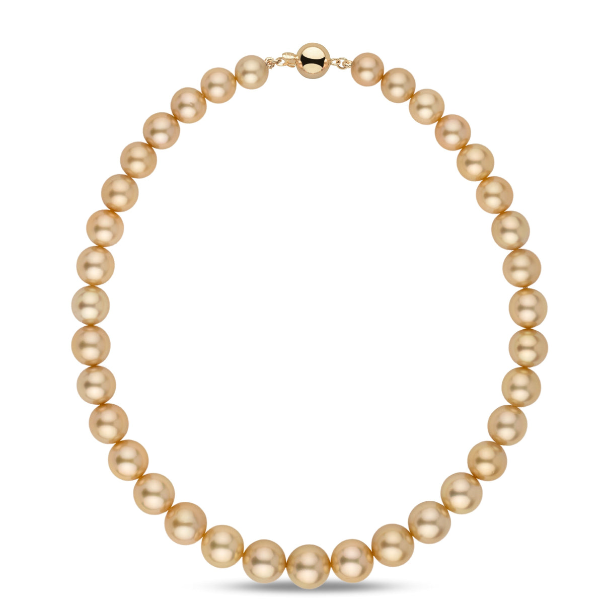 10.0–13.2 mm AA+/AAA Golden South Sea Round Pearl Necklace with lustrous golden pearls and a polished gold clasp, showcasing elegant south sea pearls in a classic round design.