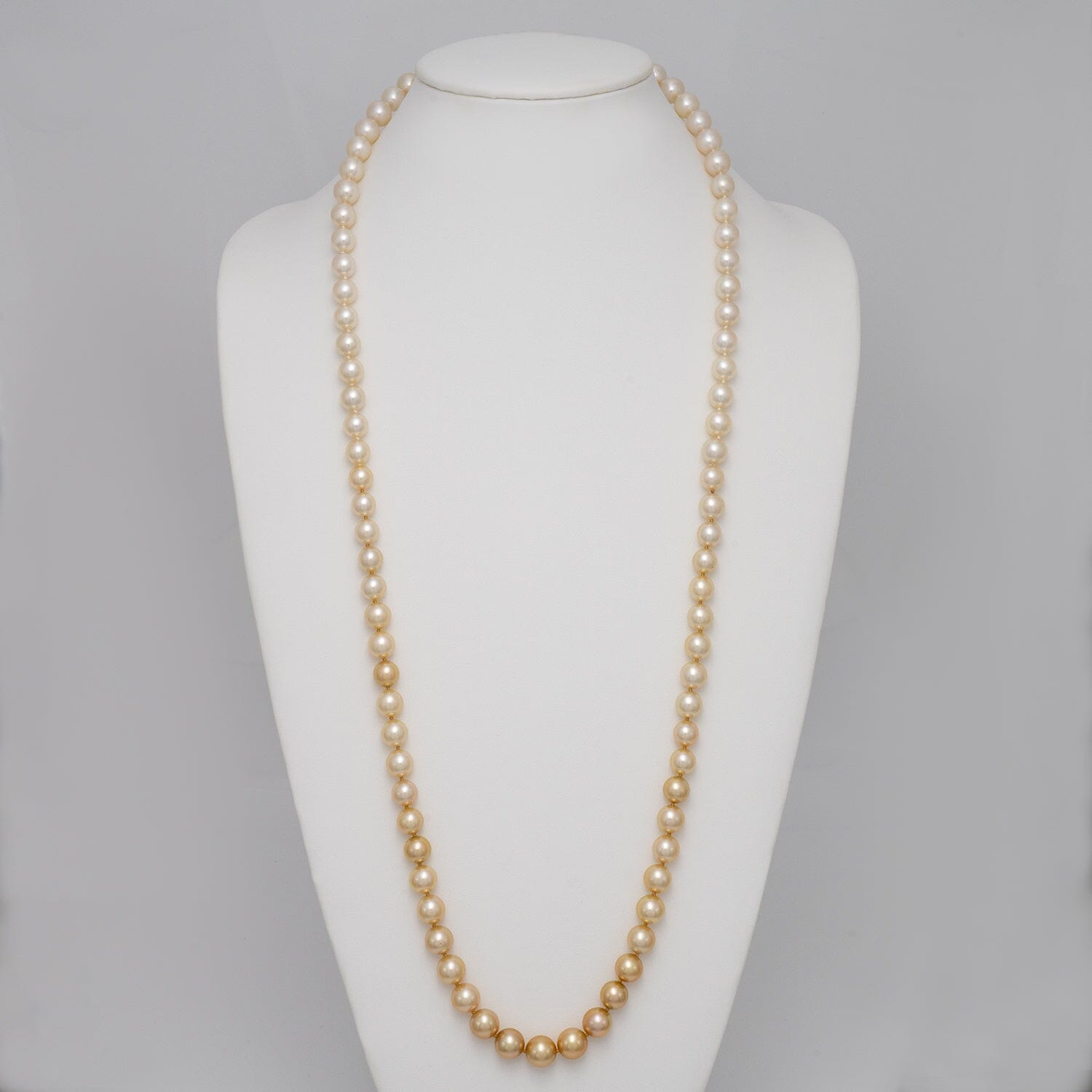 Assael Collection: 9.0–11.0 mm White and Golden South Sea Ombré