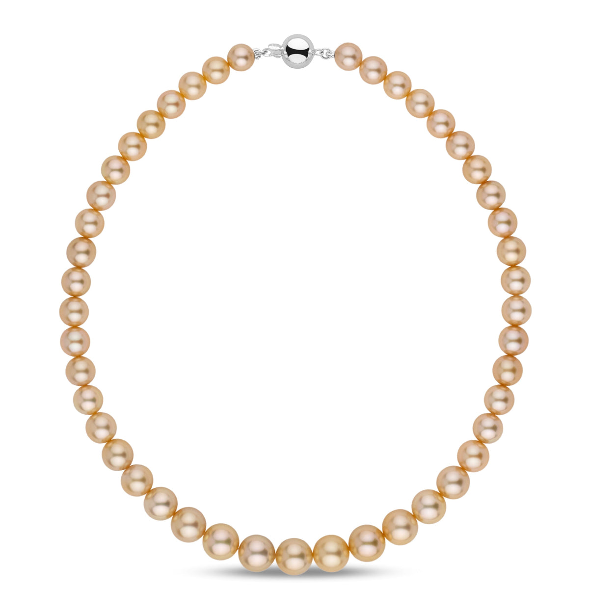 8.1–10.9 mm AA+/AAA Golden South Sea Round Pearl Necklace featuring lustrous golden pearls with a polished 14K white gold clasp, perfect for elegant and timeless style.