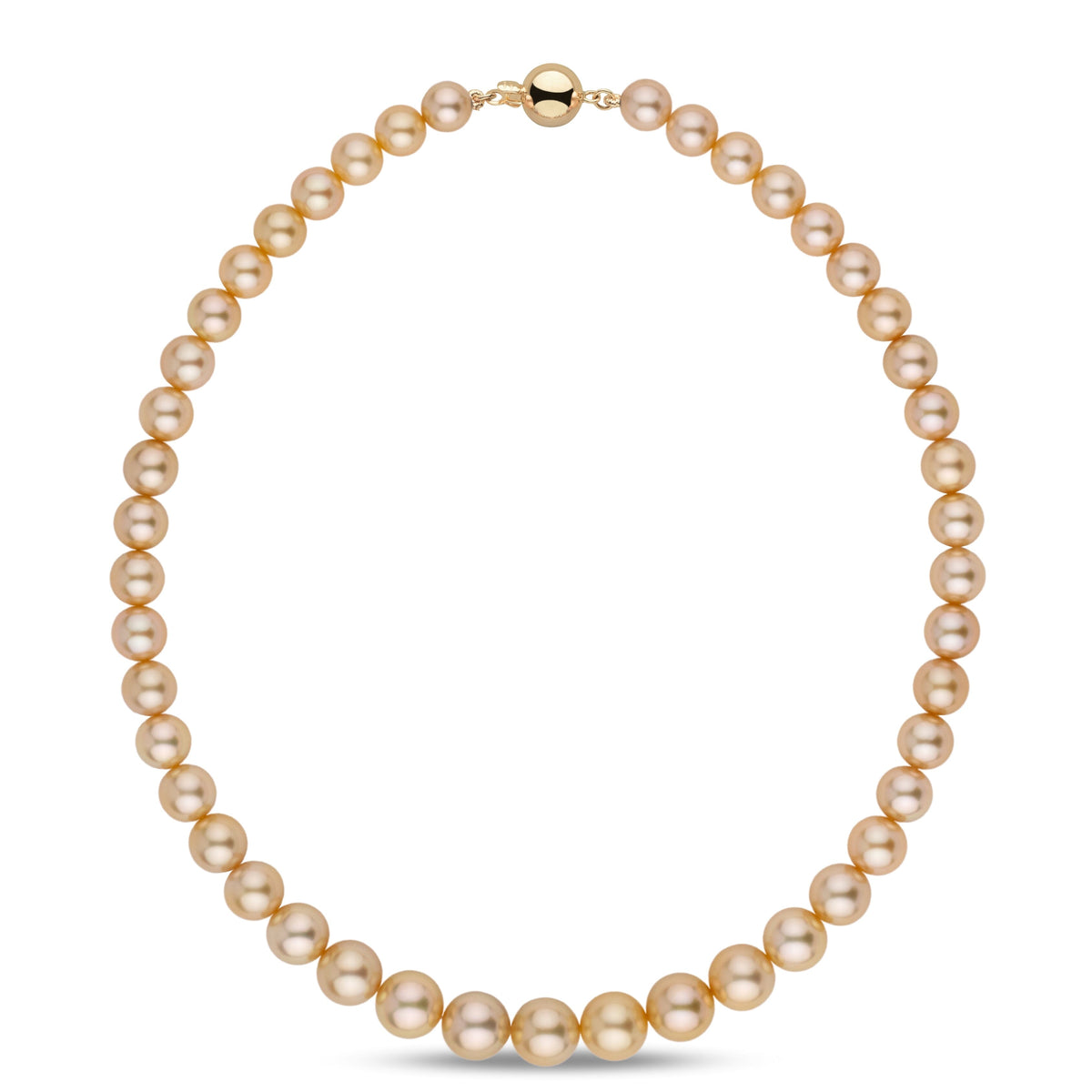 8.1–10.9 mm AA+/AAA Golden South Sea Round Pearl Necklace featuring lustrous, smooth golden pearls with a polished gold clasp, perfect for elegant and timeless style.