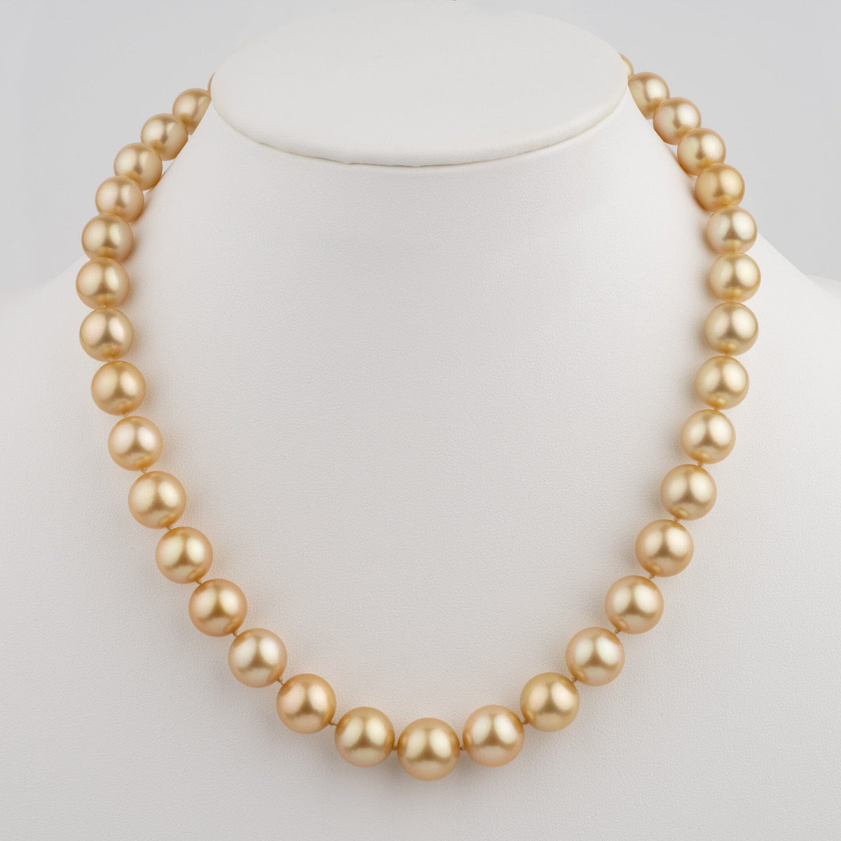 8.4–11.6 mm AA+/AAA Round Golden South Sea Pearl Necklace displayed on a white bust stand, featuring lustrous, round golden pearls with a smooth surface.
