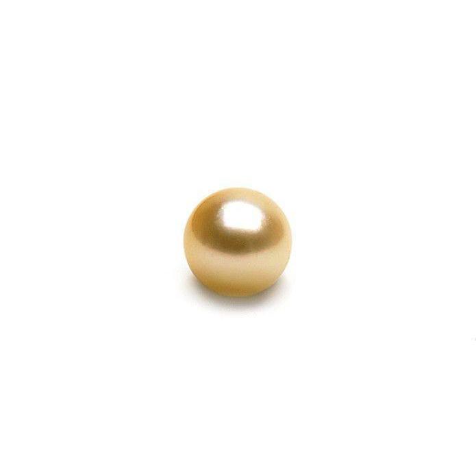 Loose Golden South Sea Pearl