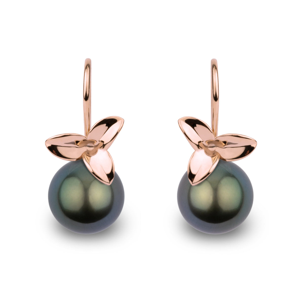 Elegant Blossom Collection 10.0-11.0 mm Tahitian Pearl Earrings featuring dark Tahitian pearls accented with rose gold floral-inspired settings, perfect for refined style.