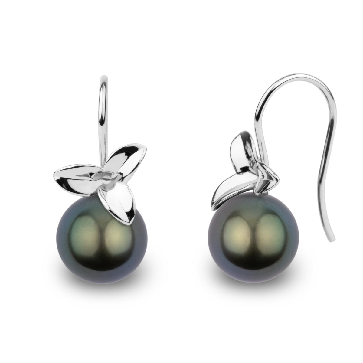 Blossom Collection 10.0-11.0 mm Tahitian Pearl Earrings featuring lustrous dark pearls with elegant 14K white gold floral accents on delicate hooks, ideal for sophisticated pearl jewelry lovers.