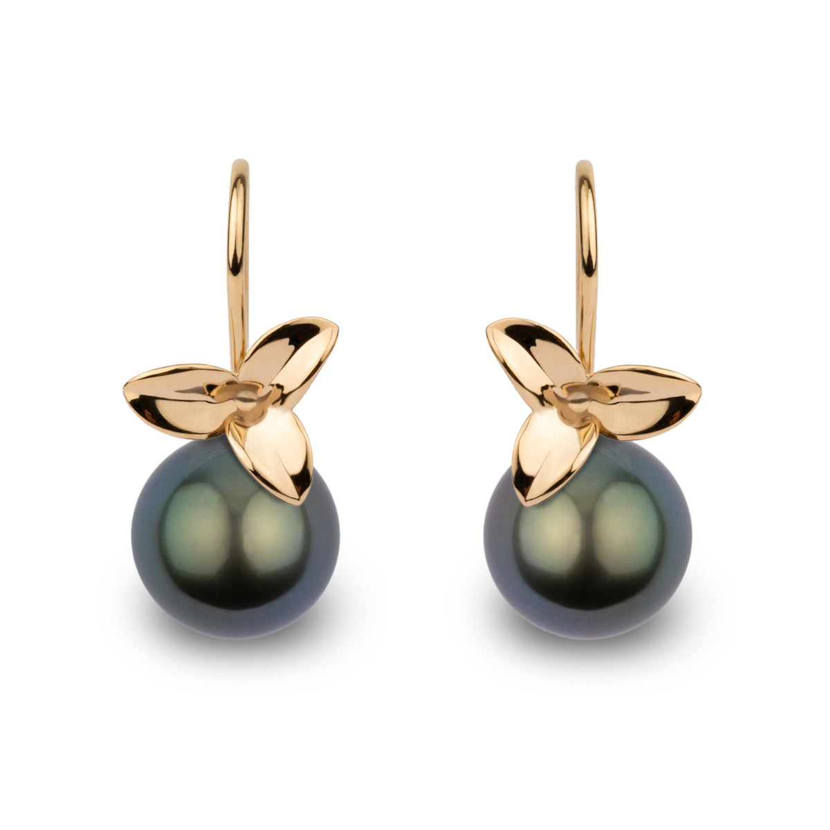Blossom Collection 10.0-11.0 mm Tahitian Pearl Earrings featuring dark Tahitian pearls with elegant gold floral accents, offering a sophisticated and timeless look.