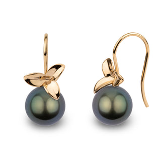 Blossom Collection 10.0-11.0 mm Tahitian Pearl Earrings featuring round dark Tahitian pearls set with polished yellow gold floral accents and elegant hooks for refined style.