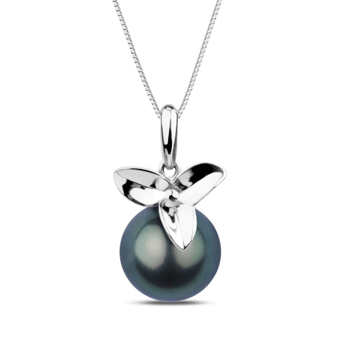 Blossom Collection 10.0-11.0 mm Tahitian Pearl Pendant featuring a lustrous dark Tahitian pearl set beneath a polished white gold floral-inspired bail on a delicate chain.