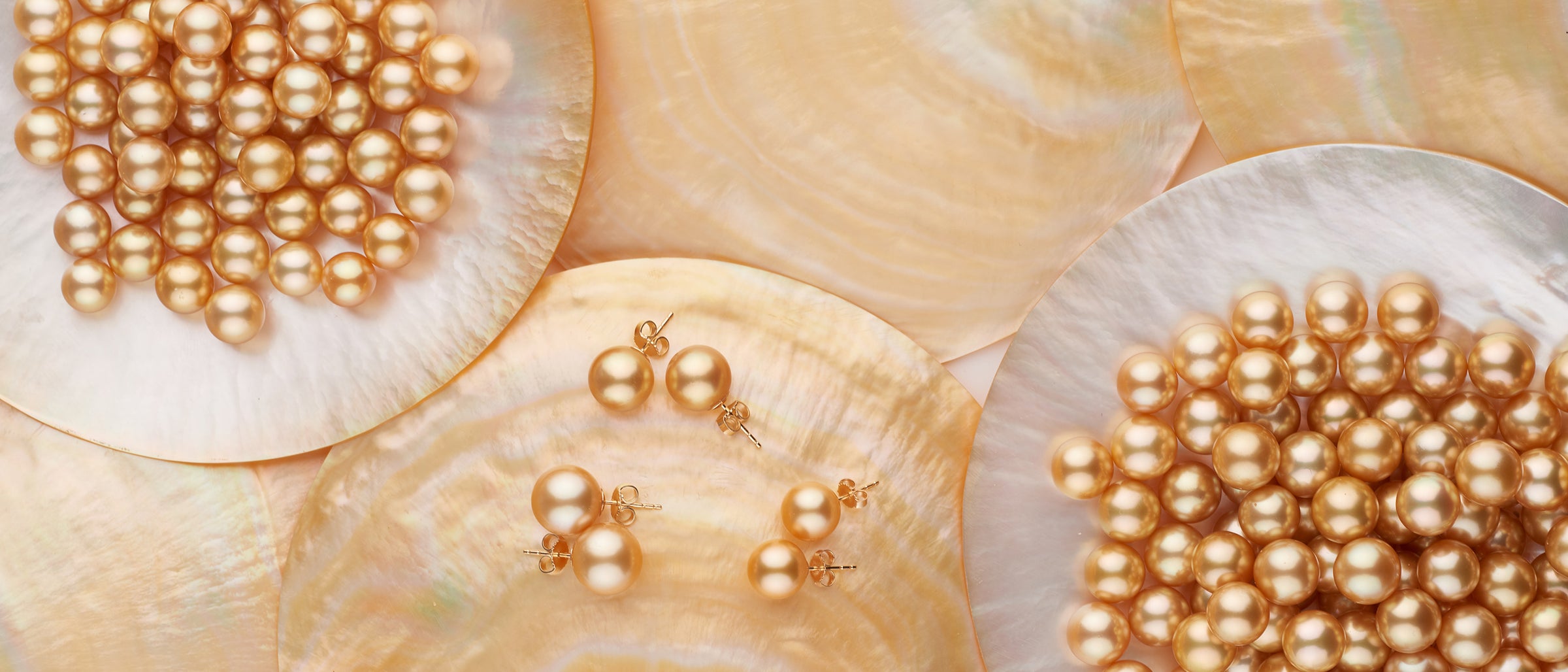 Golden South Sea loose pearls in gold-lip pearl oyster shells
