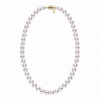 8.0-8.5 mm Certified Tennyo Hanadama Akoya Pearl Strand