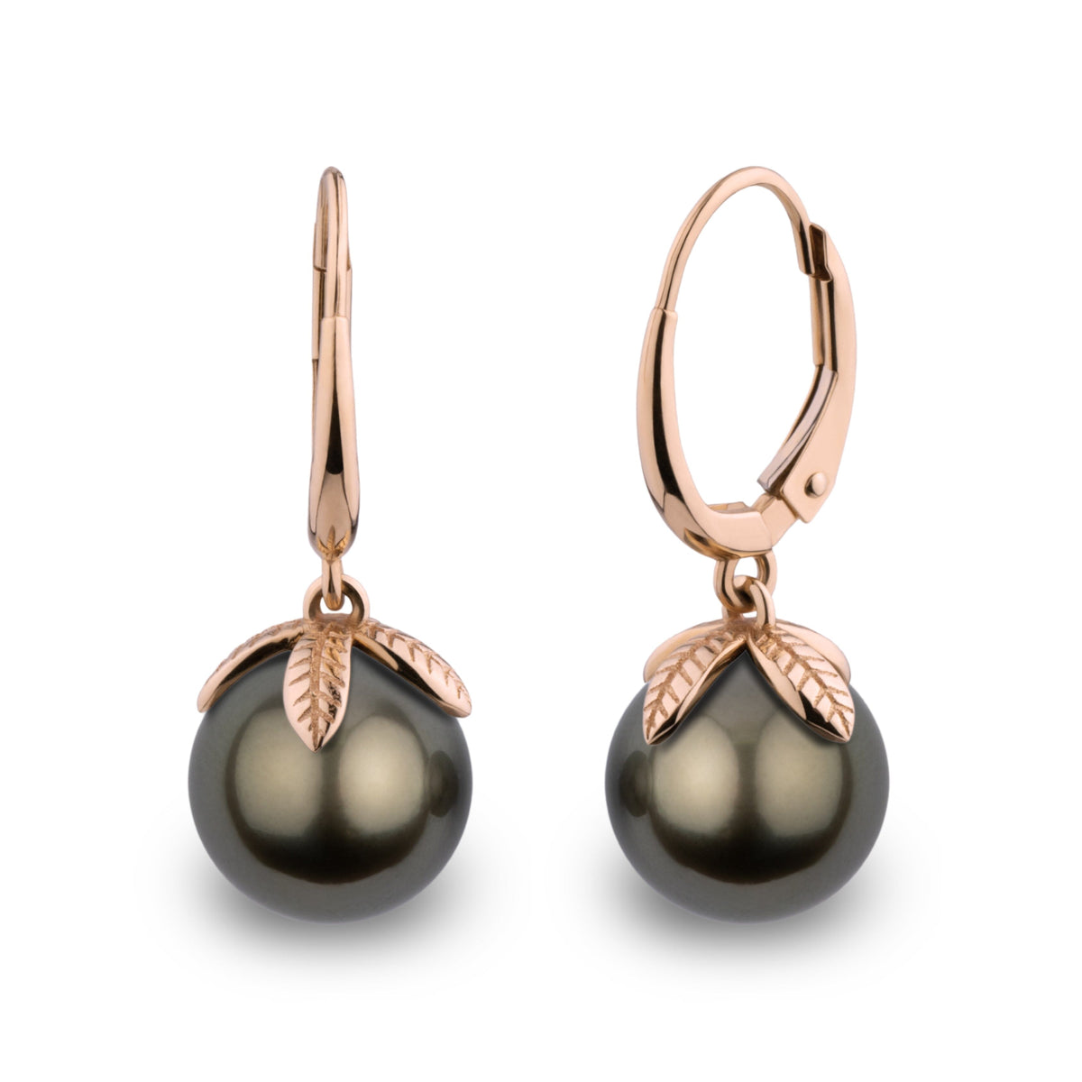 Leaf Collection 9.0-10.0 mm Tahitian Pearl Earrings featuring round dark pearls and delicate rose gold leaf accents with lever-back clasps.
