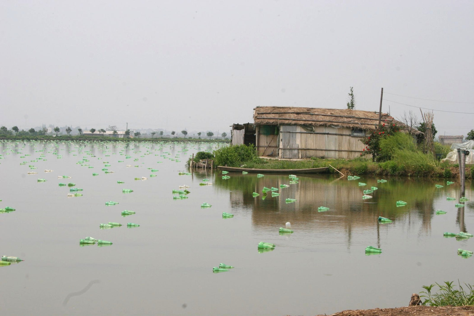 A pearl farmer's home overlooking a freshwater pearl farm in Zhejiang, China