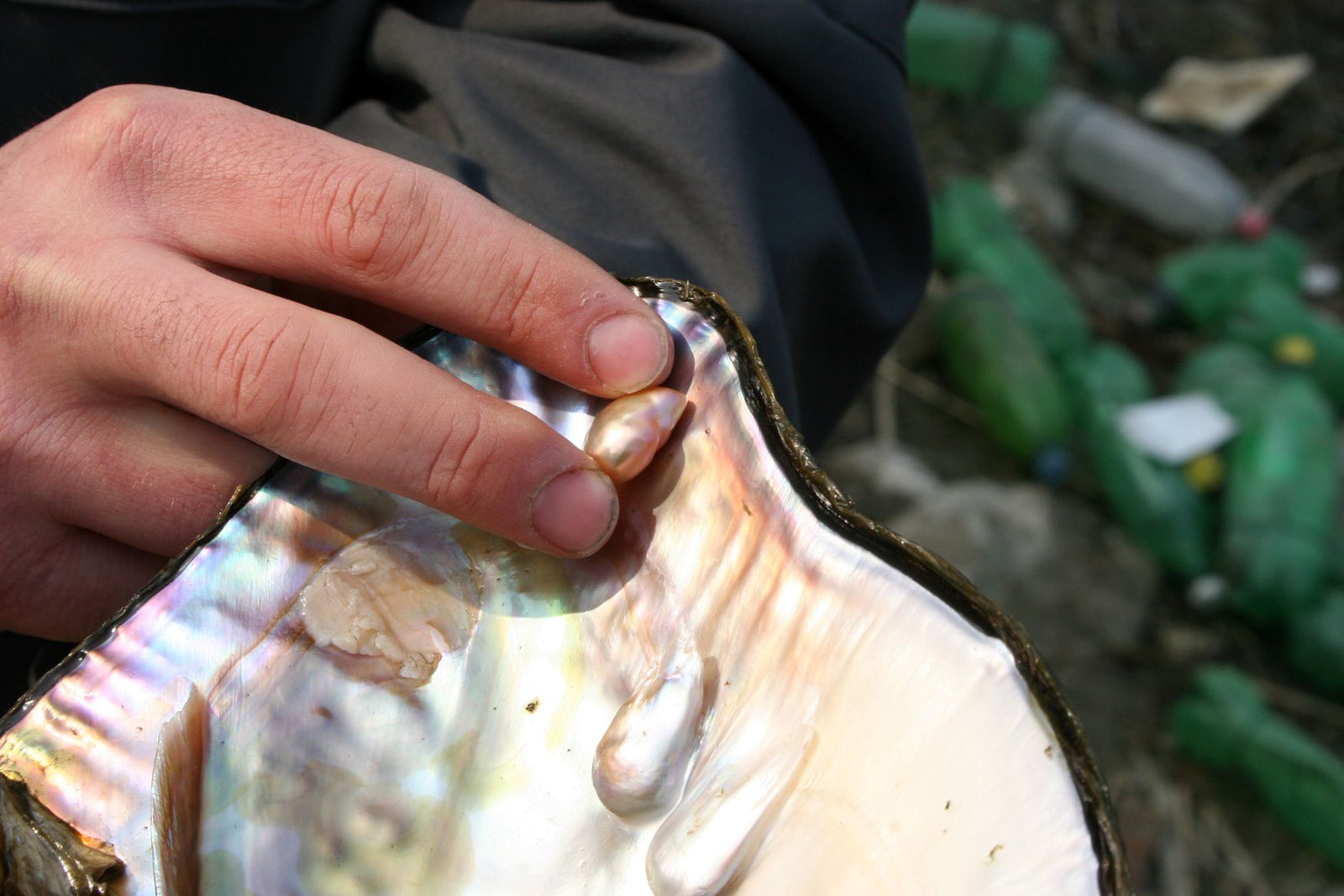 Natural freshwater pearl colors mimic the nacreous inside layers of the shells