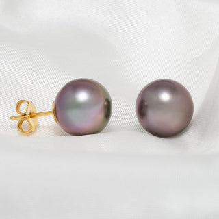 Assael Collection: 11.6 mm Tahitian Pearl Stud Earrings
