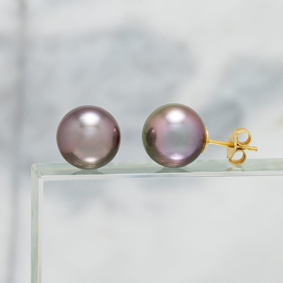 Assael Collection: 11.6 mm Tahitian Pearl Stud Earrings