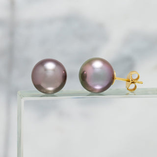 Assael Collection: 11.6 mm Tahitian Pearl Stud Earrings