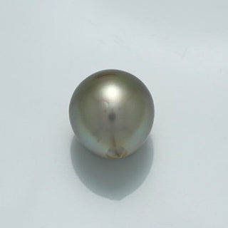 Single lustrous 12.3 x 10.9 mm Fijian Drop Pearl with smooth surface and subtle iridescent shades, perfect for elegant pearl jewelry designs.