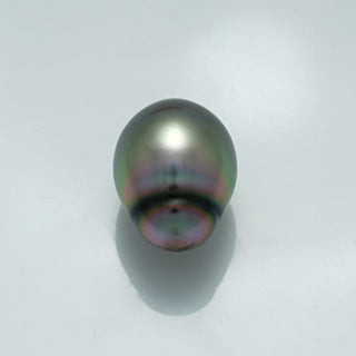 16.6 x 12.4 mm Fijian Drop Pearl with a lustrous dark surface displaying subtle green and purple overtones, ideal for fine pearl jewelry designs.