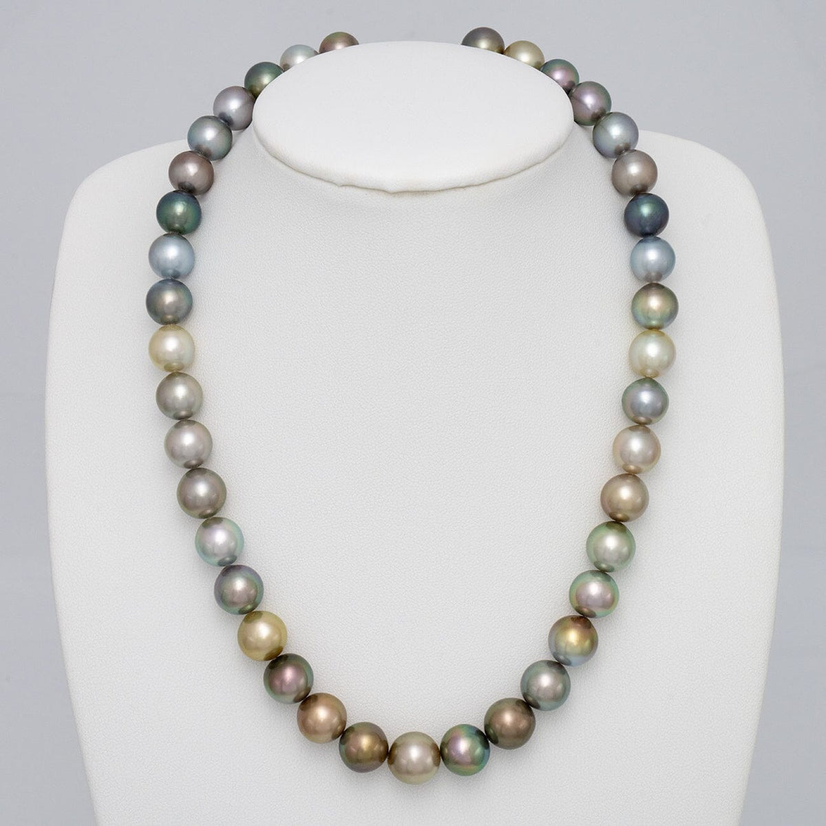 Assael Collection: 9.4–11.1 mm Fijian Pearl Necklace displaying a strand of multi-colored cultured pearls in shades of green, blue, gold, and lavender on a white jewelry bust.