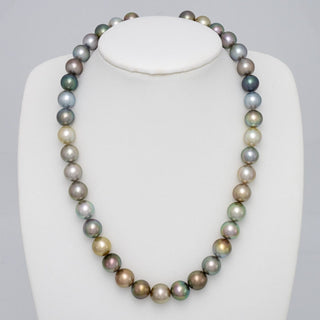 Assael Collection: 9.4–11.1 mm Fijian Pearl Necklace displaying a strand of multi-colored cultured pearls in shades of green, blue, gold, and lavender on a white jewelry bust.