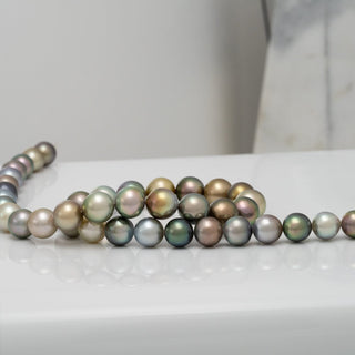 Assael Collection: 9.4–11.1 mm Fijian Pearl Necklace displayed on a white surface, featuring a luxurious strand of multicolored cultured pearls with iridescent shades of green, gold, and silver.