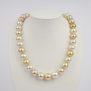 12.2–15.2 mm AAA White and Golden South Sea Round Pearl Necklace displayed on a white bust, showcasing alternating white and golden pearls with a lustrous finish.
