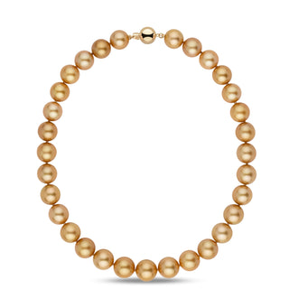 13.0–14.5 mm AA+/AAA Golden South Sea Round Pearl Necklace featuring lustrous, warmly colored golden pearls with a polished gold clasp, elegant and sophisticated fine pearl jewelry.