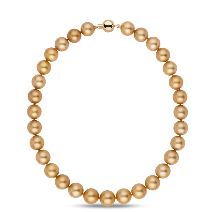 13.0–14.5 mm AA+/AAA Golden South Sea Round Pearl Necklace featuring lustrous, warmly colored golden pearls with a polished gold clasp, elegant and sophisticated fine pearl jewelry.