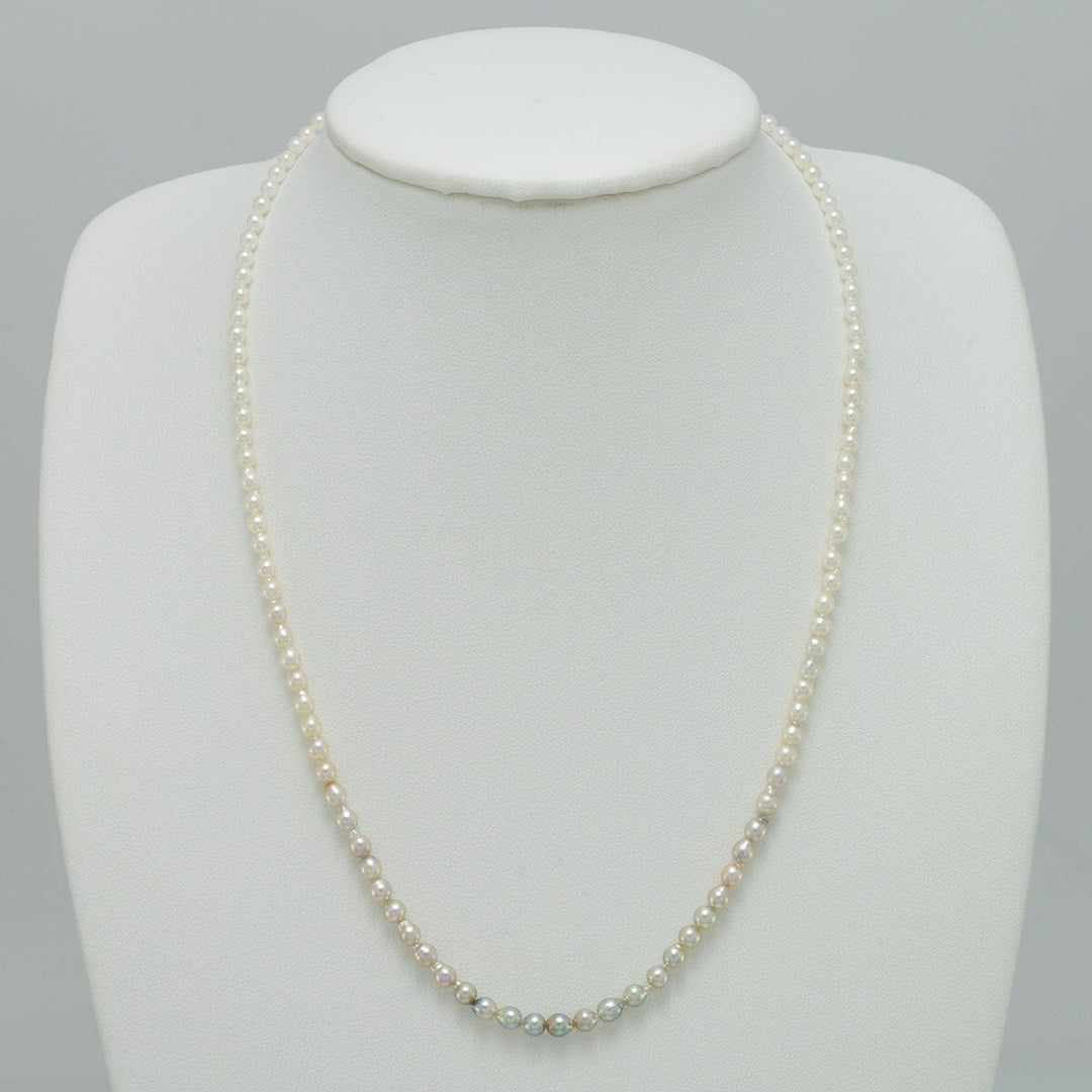 JF-11: 2.5-4.0 mm Pistachio Ombre Akoya Drop Pearl Strand