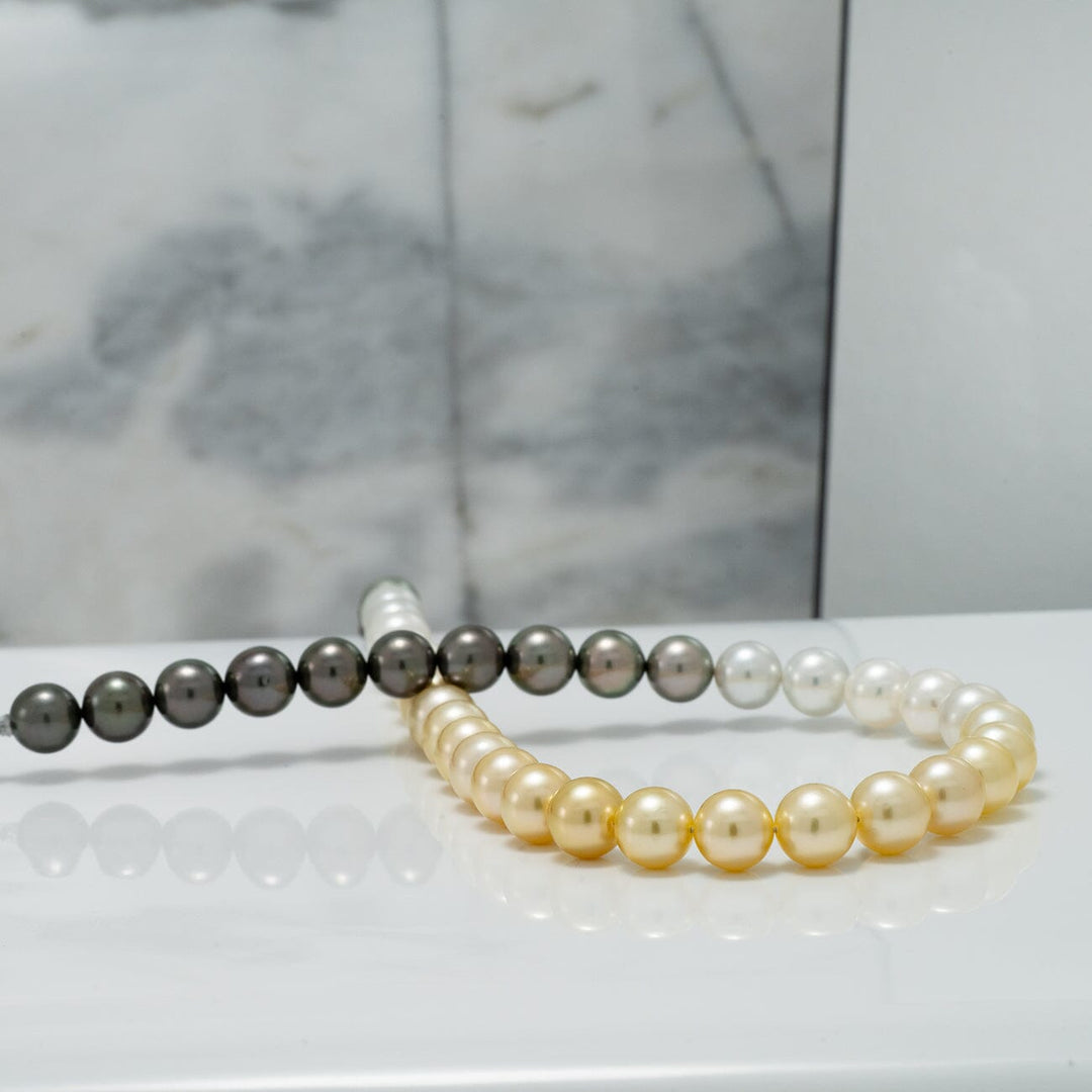 Close-up of an elegant 8.5-8.9 mm Akoya & South Sea Pearl Ombre Strand featuring lustrous black, gray, white, and golden pearls arranged in a gradual color transition.