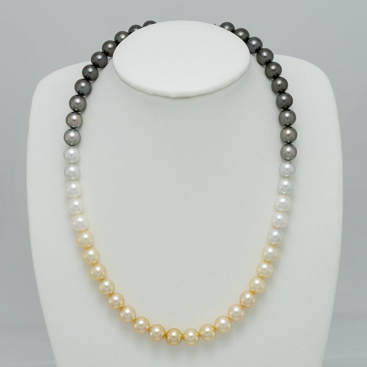 Elegant 8.5-8.9 mm Akoya & South Sea Pearl Ombre Strand necklace showcasing a gradient of white, creamy, and dark pearls on a white display bust, perfect fine pearls for sale