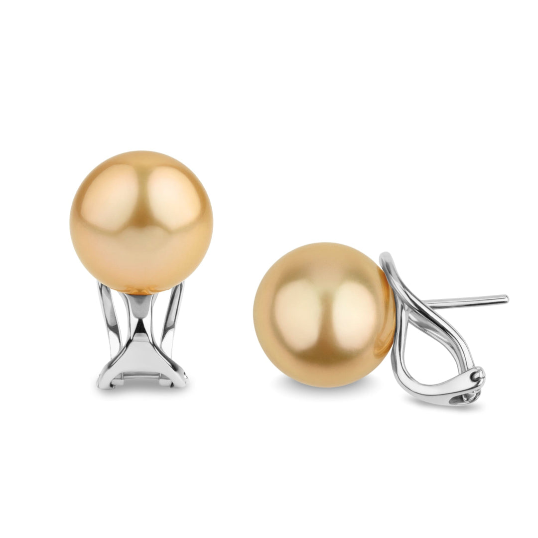 10.0-11.0 mm Golden South Sea Pearl Hinge-Back Stud Earrings featuring lustrous golden pearls set on elegant white metal hinge-back posts for secure and comfortable wear.
