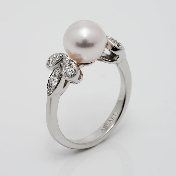Gem-quality 8.0–8.5 mm akoya pearl ring in 18K white gold, accented with 14 diamonds. Part of a special Assael collection offered by inquiry.