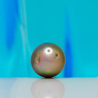 SC-9: 9.5-10 mm “National Selection” Grade Near-round Loose Cortez Pearls loose pearl, view 2