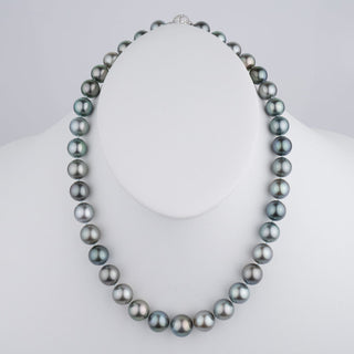 10.7-13.0 mm Round Tahitian Pearl Necklace on bust