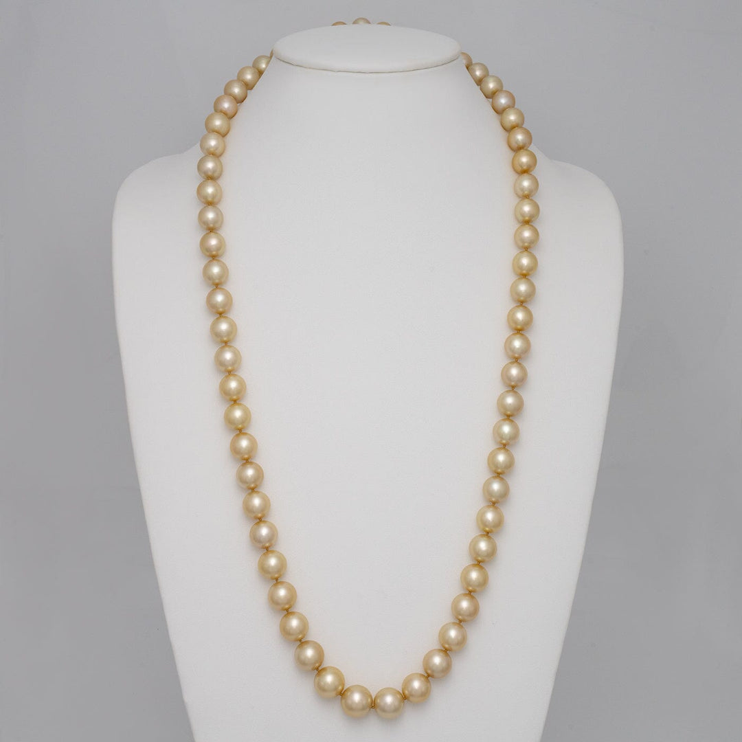 10.5–14.0 mm round golden South Sea endless pearl strand on bust