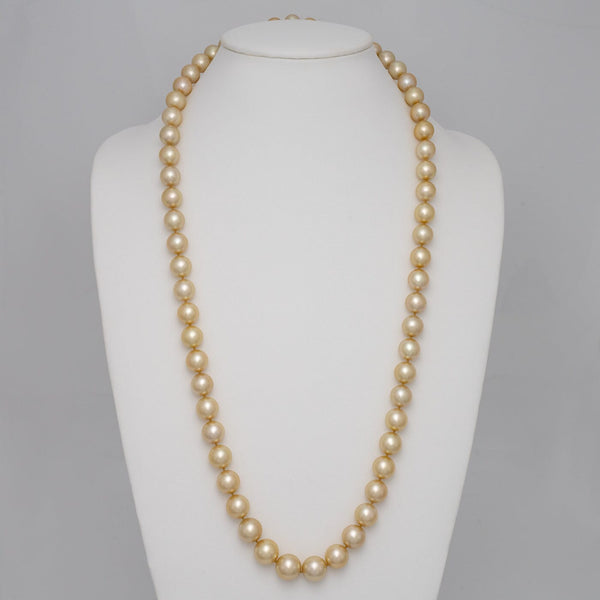 10.5–14.0 mm round golden South Sea endless pearl strand on bust
