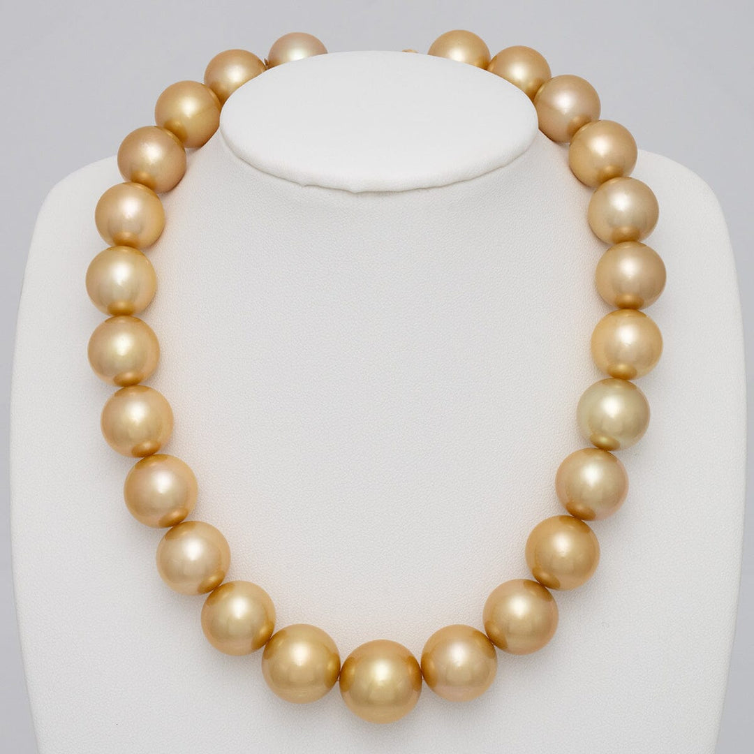  15.0-17.7 mm Round Golden South Sea Pearl Necklace on bust