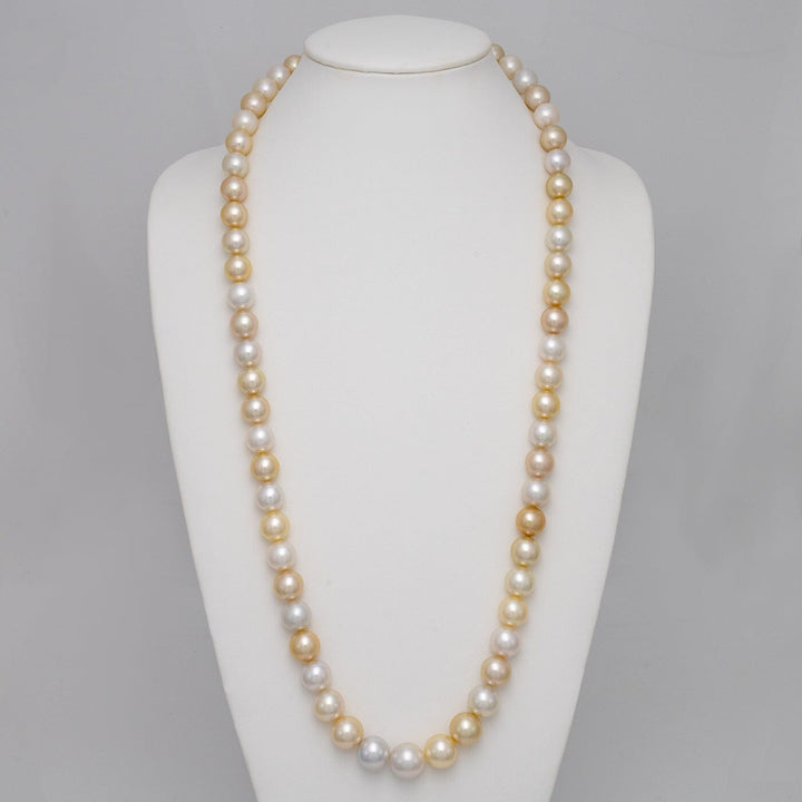 12.3–15.5 mm round multicolor South Sea pearl necklace on bust