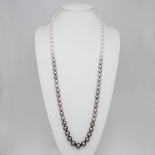8.6–15.1 mm Round White South Sea and Tahitian Ombre Pearl Necklace on bust