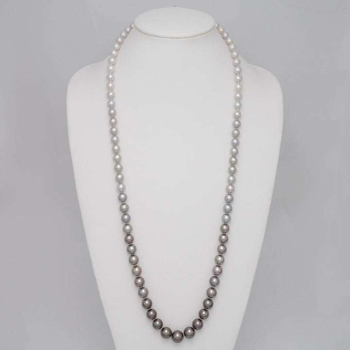 8.0–13.0 mm round white South Sea and Tahitian ombré pearl necklace on bust