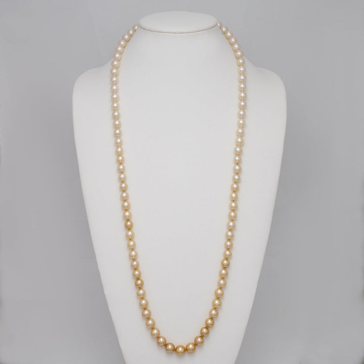9.0–11.0 mm white and golden South Sea pearl ombré necklace on bust