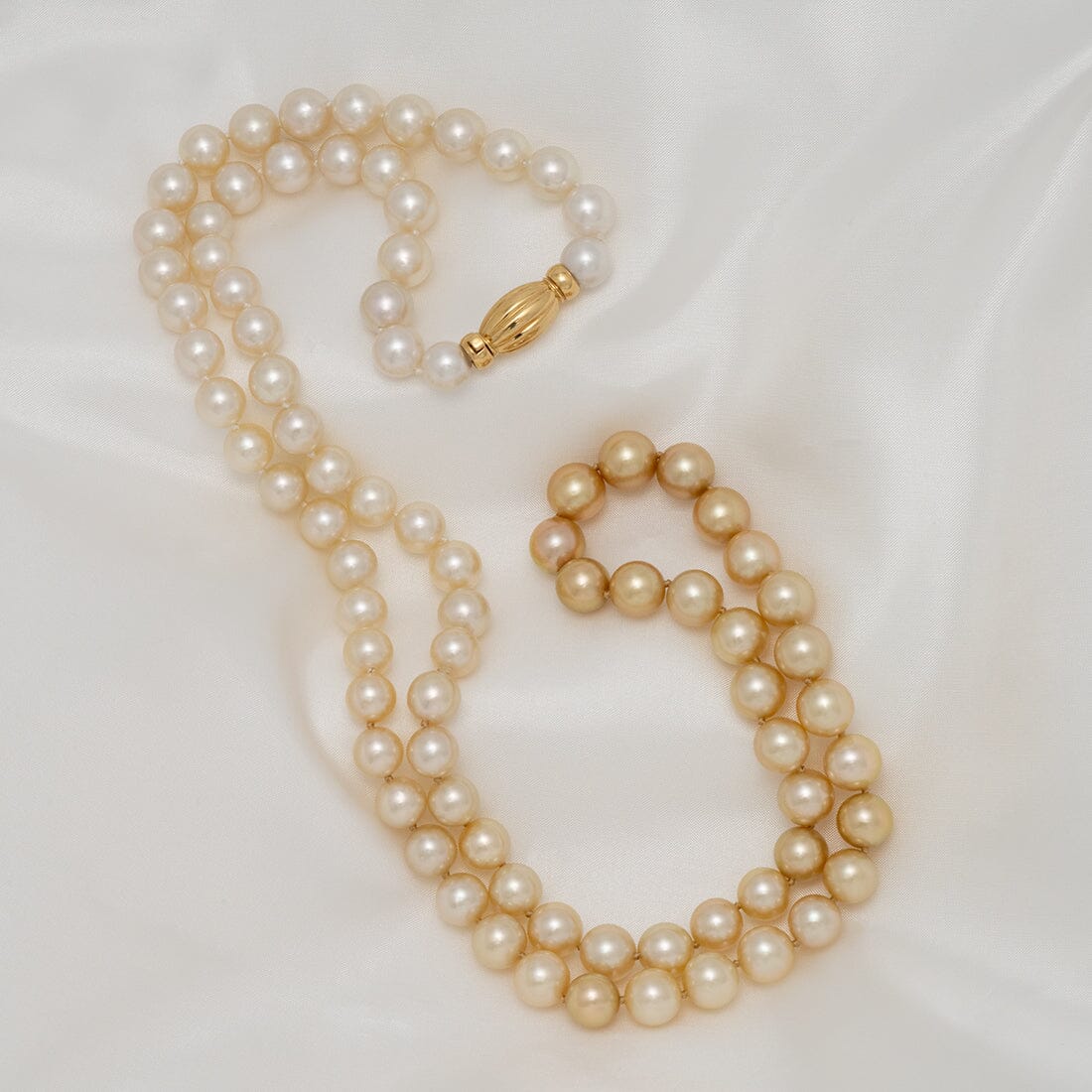 Assael Collection: 9.0–11.0 mm White and Golden South Sea Ombré