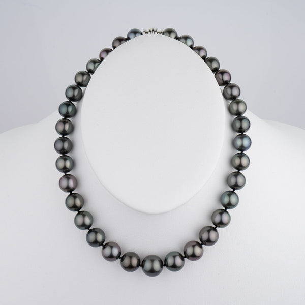11.1-14.1 mm Round Tahitian Pearl Necklace on bust