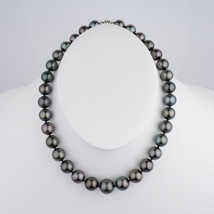 11.1-14.1 mm Round Tahitian Pearl Necklace on bust