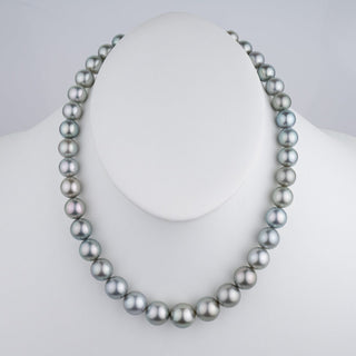 10.0-13.5 mm Round Tahitian Pearl Necklace on bust