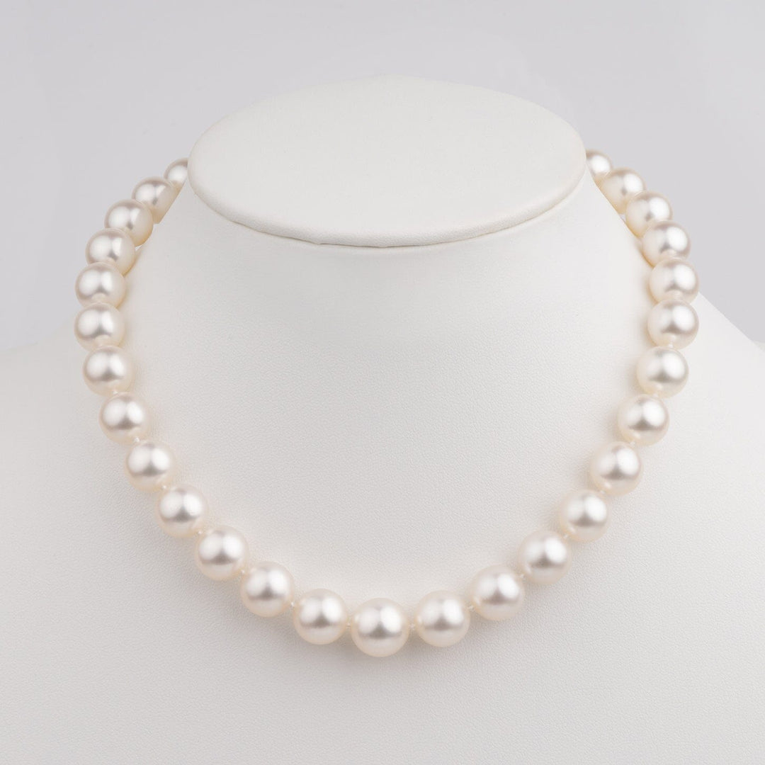 11.0-13.0mm AAA White South Sea Round Pearl Necklace on bust
